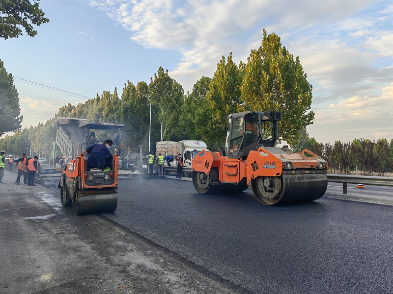 IMG_20221020_170203_proc_副本 IMG_20221020_170203_proc_副本