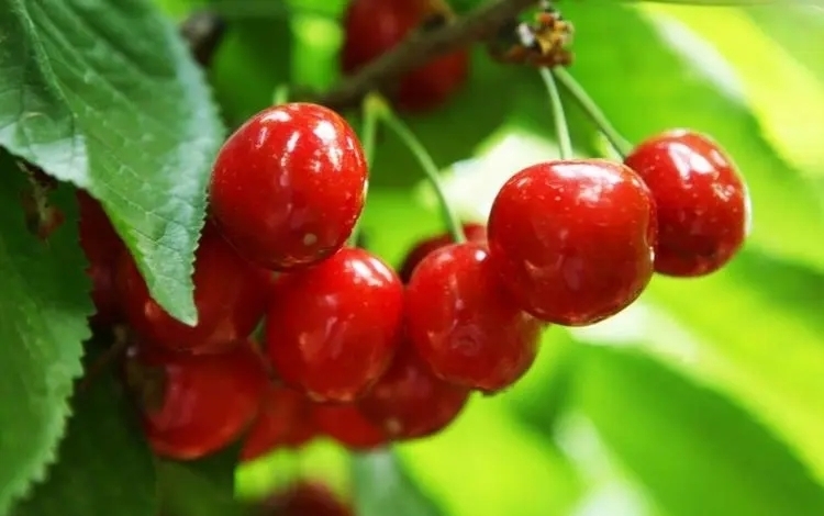 要事優(yōu)先才能有結(jié)果