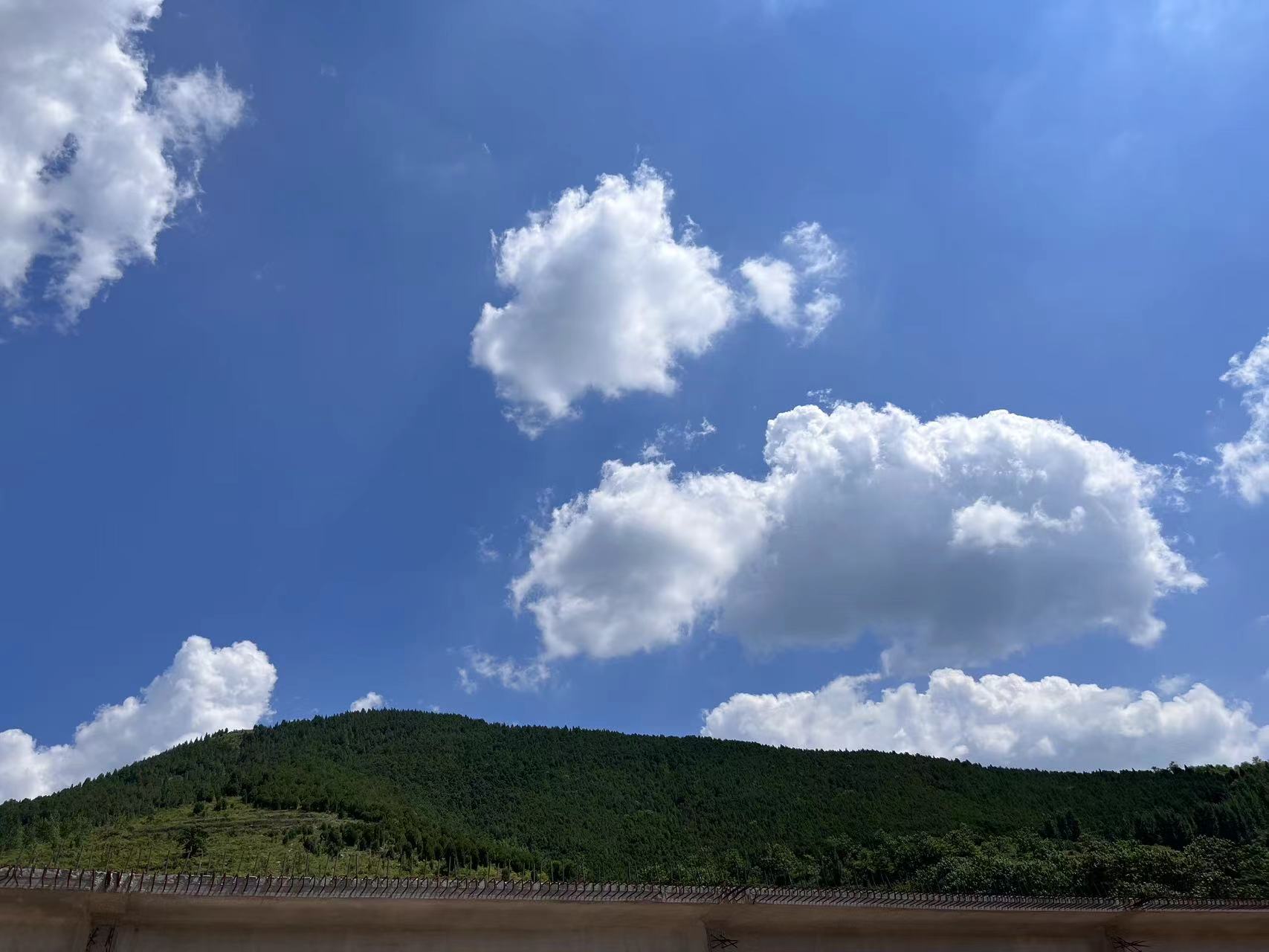 九月，你好！