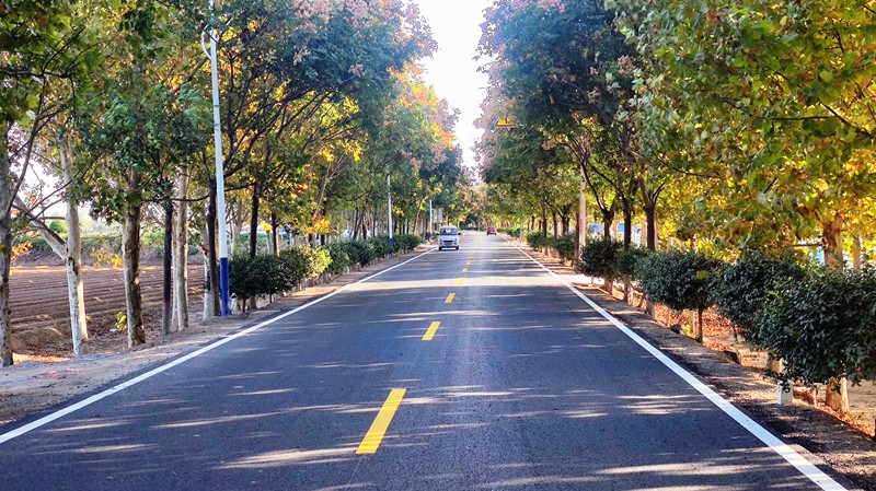 快樂的工地生活