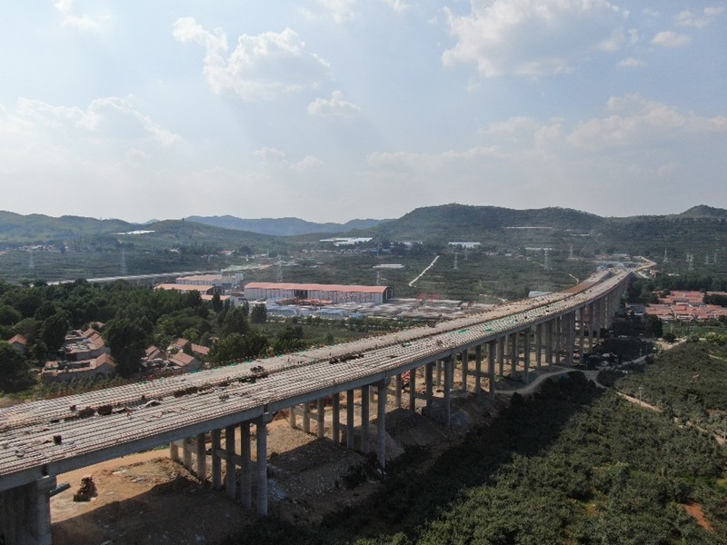 6-6、6月27日臨臨高速六標苗莊特大橋圓滿完成全部T梁架設_副本