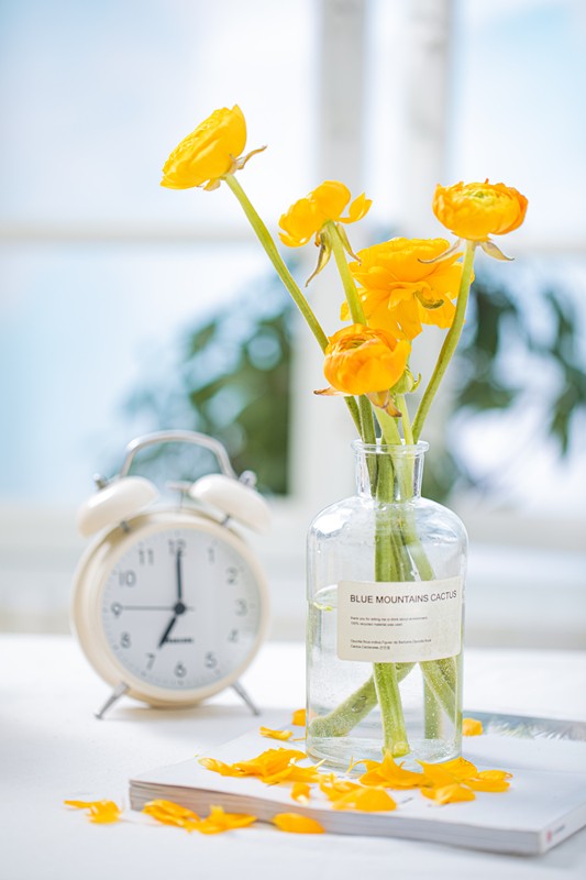 春將遠，夏將至