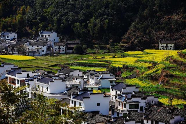 《我的阿勒泰》敲開了心房，心房的最深處有屬于自己的鄉(xiāng)愁