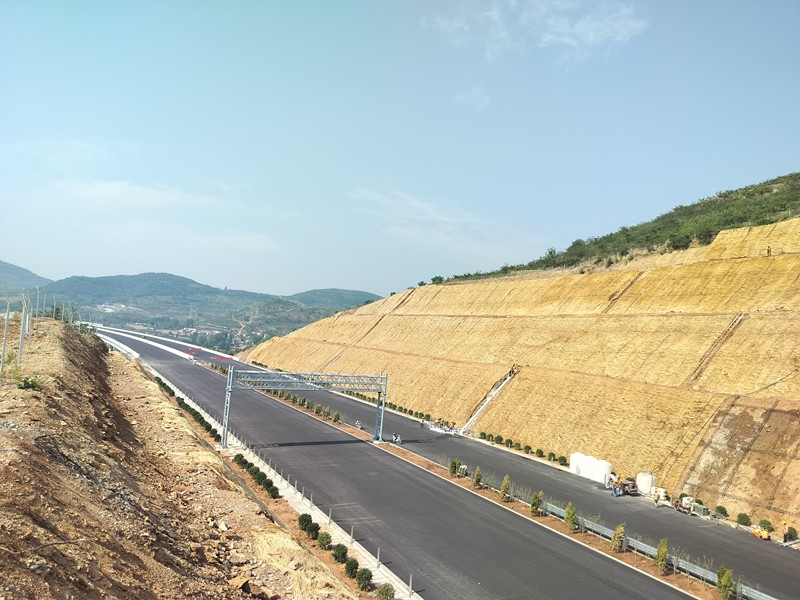 夏至工地——臨臨掠影