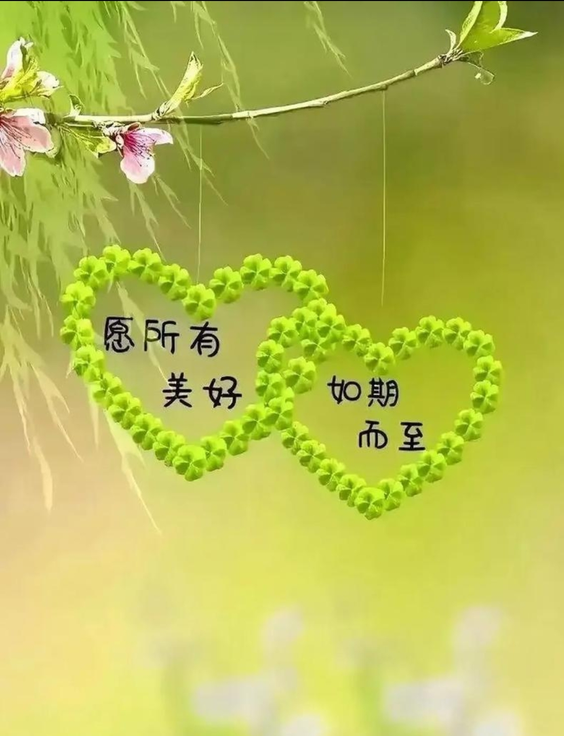 廿載情誼，重逢見暖陽