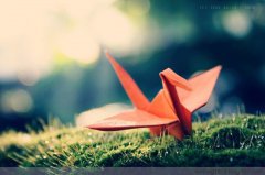 平凡的崗位，不平凡的你