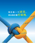 從人力資源部看團(tuán)結(jié)，淺談對(duì)團(tuán)隊(duì)的理解