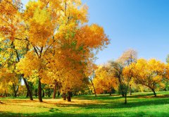 擺正心態(tài)，積極面對