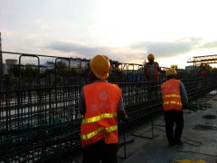 遷徙的候鳥，領略不一樣的風景