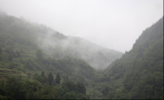 再見，江西！