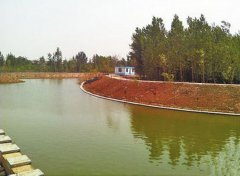 孝婦河畔，我們詩意的生活著