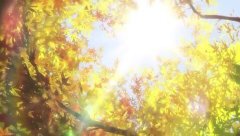 陽(yáng)光是自己給的