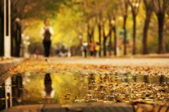 秋雨應當是看似平靜的