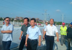 市委書記周連華視察馬南路孝婦河橋項目