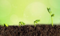 成長(zhǎng)與希望