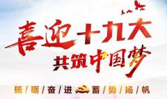 十九大你點(diǎn)贊了嗎？