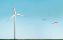 如何實(shí)現(xiàn)夢想