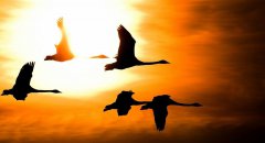 12月，你好！11月，再見！