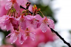 對(duì)美好的向往