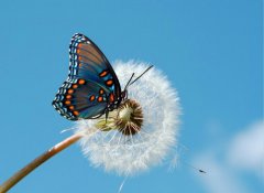 改變，從魯中公路開始