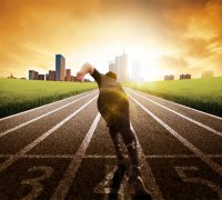 路橋追夢(mèng)人