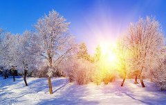 因為有你，這個冬天很溫暖