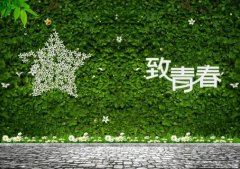 做好青春事，無悔公路情