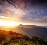 樊籬內(nèi)外――不變的追求