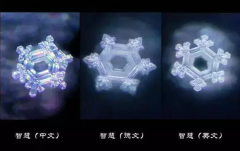 “好書推薦”：“水知道答案”之感想