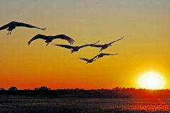 快樂工作， 微笑生活