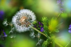 話說工程行業(yè)女漢子的一點一滴