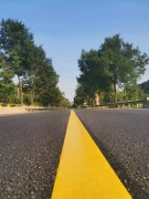 《那些年，那些來時的路》觀后有感