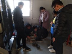 為則通達(dá)，學(xué)無止境