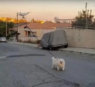 知恥而后勇，知弱而圖強(qiáng)