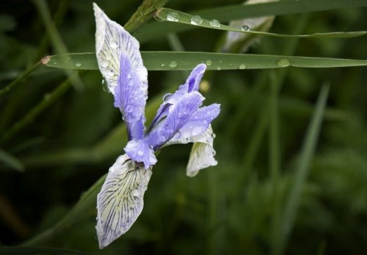 勸君惜取少年時——珍惜當(dāng)下不負(fù)韶華