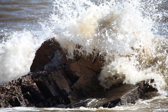 長風(fēng)破浪會有時，直掛云帆濟(jì)滄海