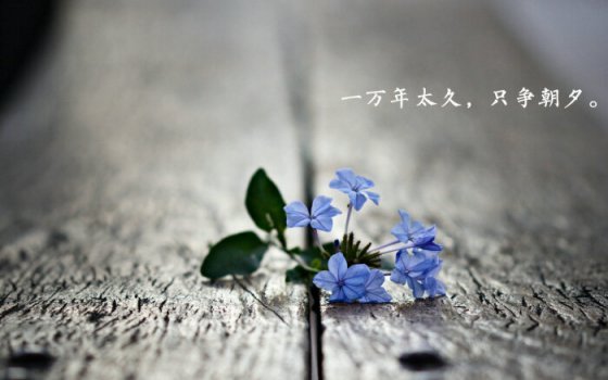 珍惜當(dāng)下不負(fù)韶華