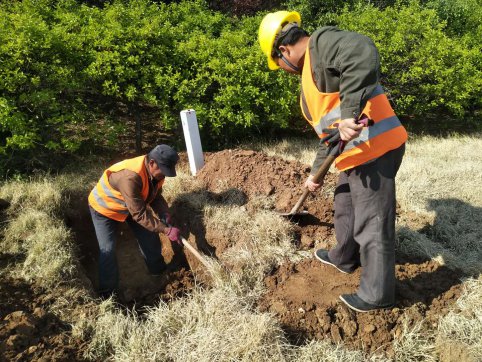 第三工程公司中潤大道項目捷報頻傳