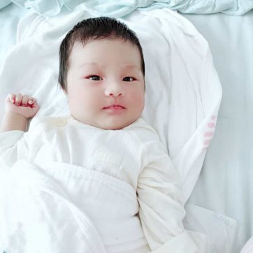 慶民府傳掌珠之喜