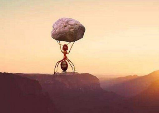 能扛事，不惹事，不怕事！