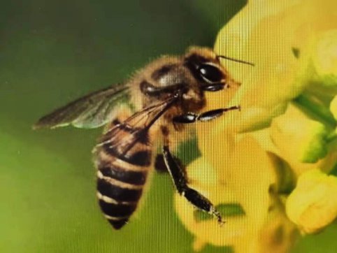 給誰打工？——從“抓作風(fēng) 創(chuàng)效益”想到的