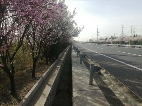 及時當勉勵，歲月不待人