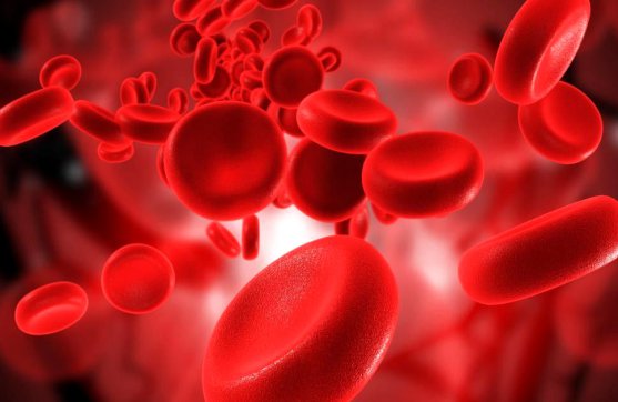 讓品質融進魯中公路的血液里